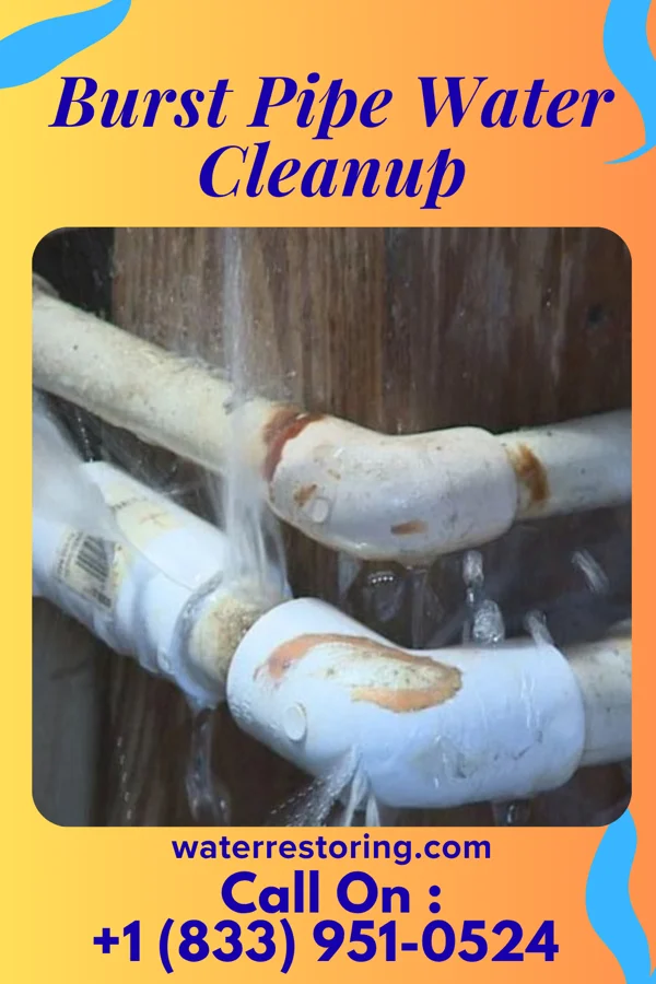 Burst Pipe Water Cleanup in Riesel, TX